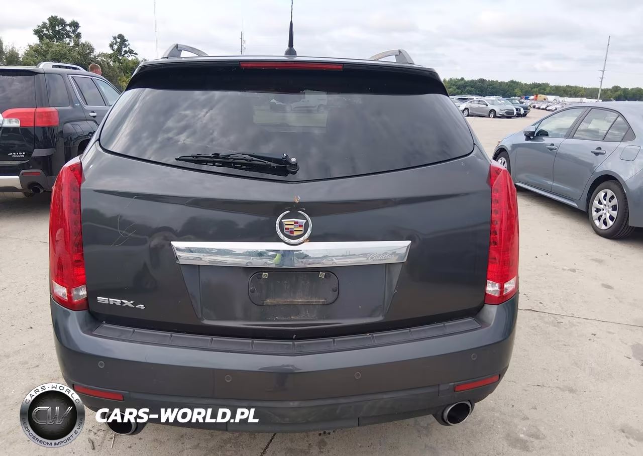 2010 Cadillac Srx Luxury Collection VIN:3GYFNDEY8AS627065 - 12