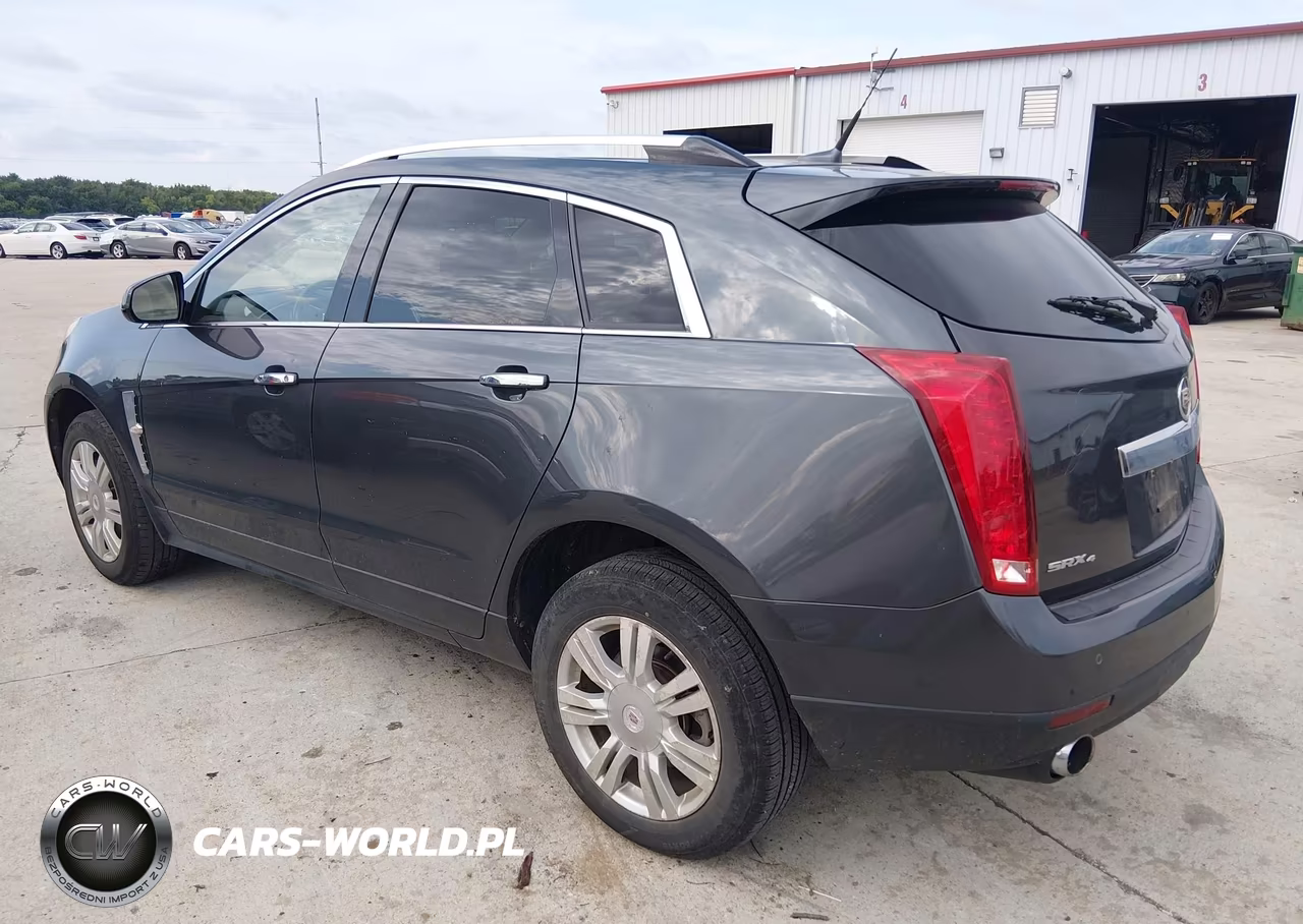 2010 Cadillac Srx Luxury Collection VIN:3GYFNDEY8AS627065 - 3