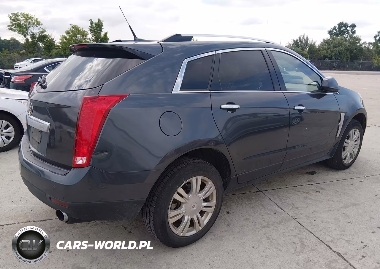 2010 Cadillac Srx Luxury Collection VIN:3GYFNDEY8AS627065 - 4