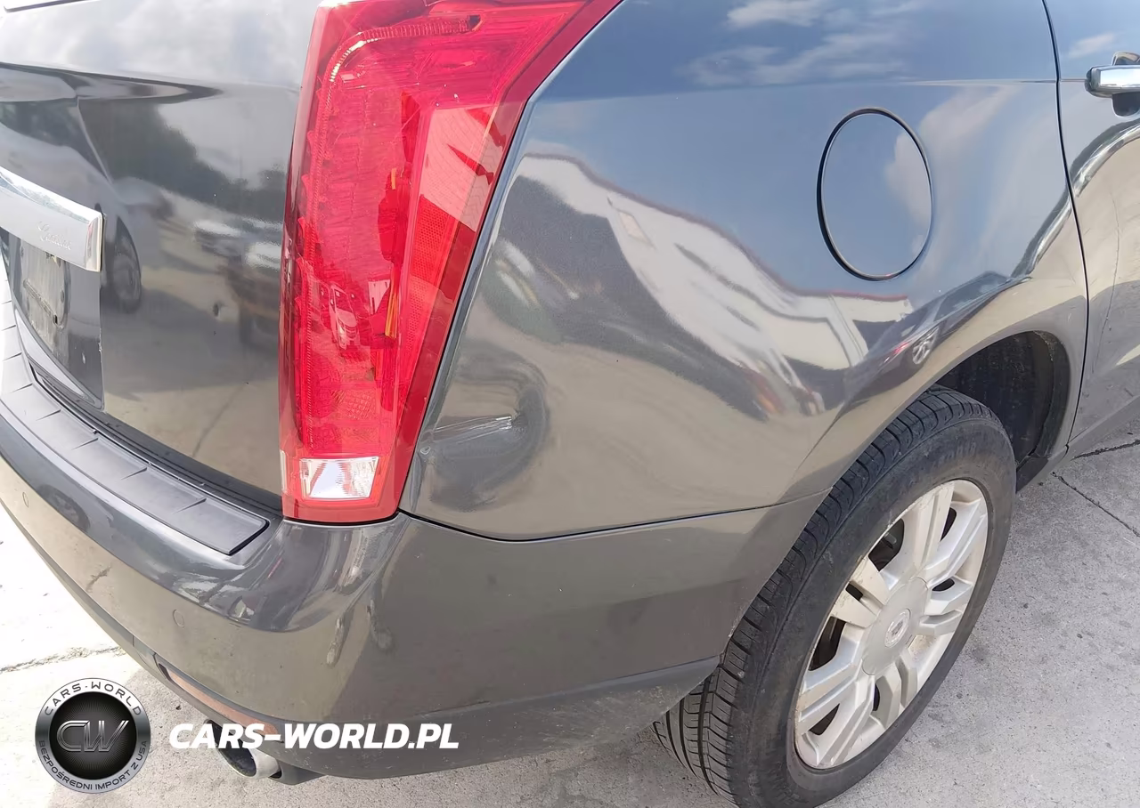 2010 Cadillac Srx Luxury Collection VIN:3GYFNDEY8AS627065 - 6