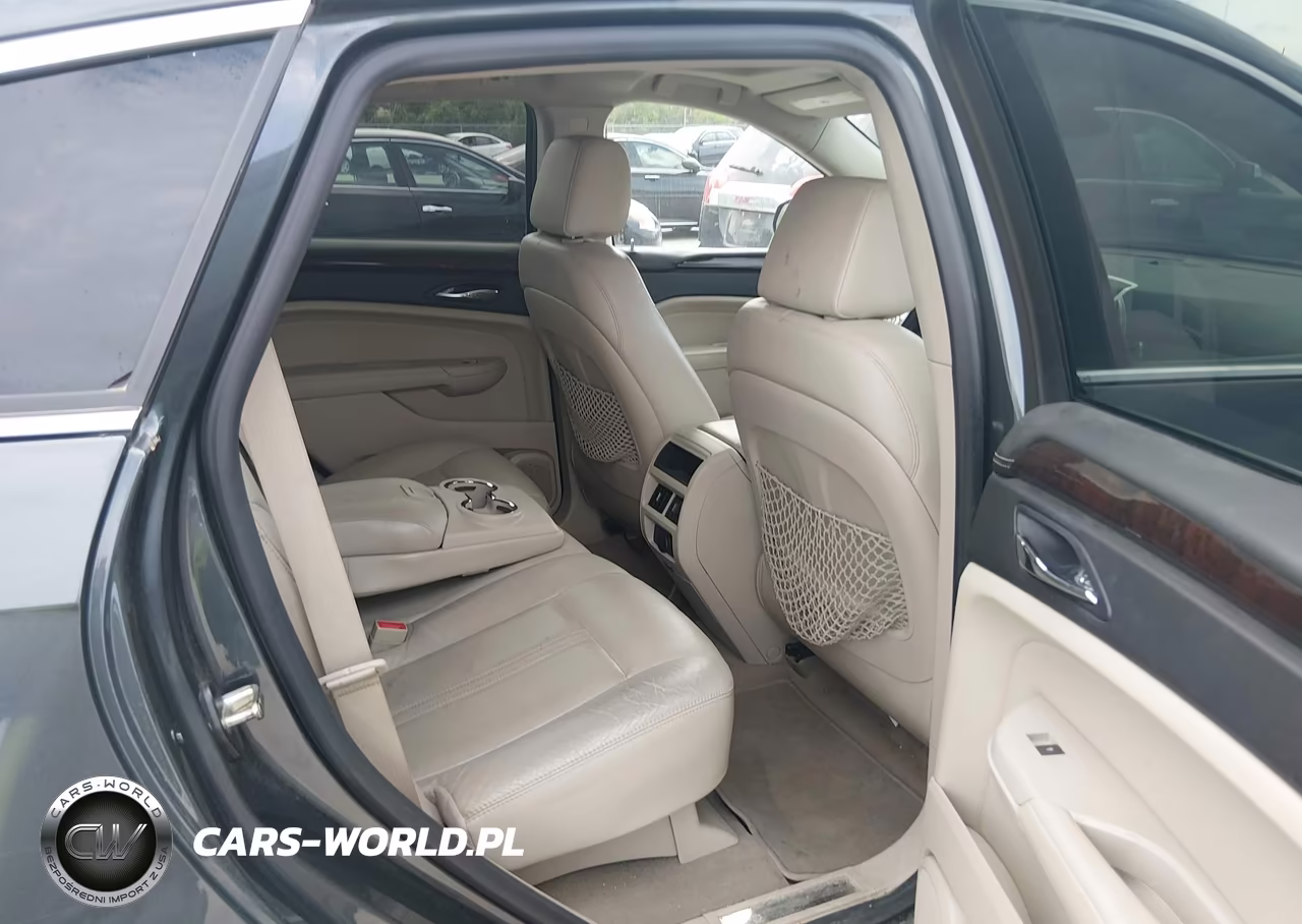 2010 Cadillac Srx Luxury Collection VIN:3GYFNDEY8AS627065 - 8