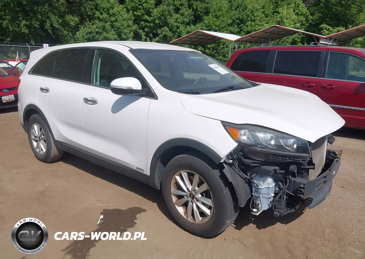 2019 Kia Sorento 2.4L Lx VIN:5XYPGDA3XKG459009 - 1