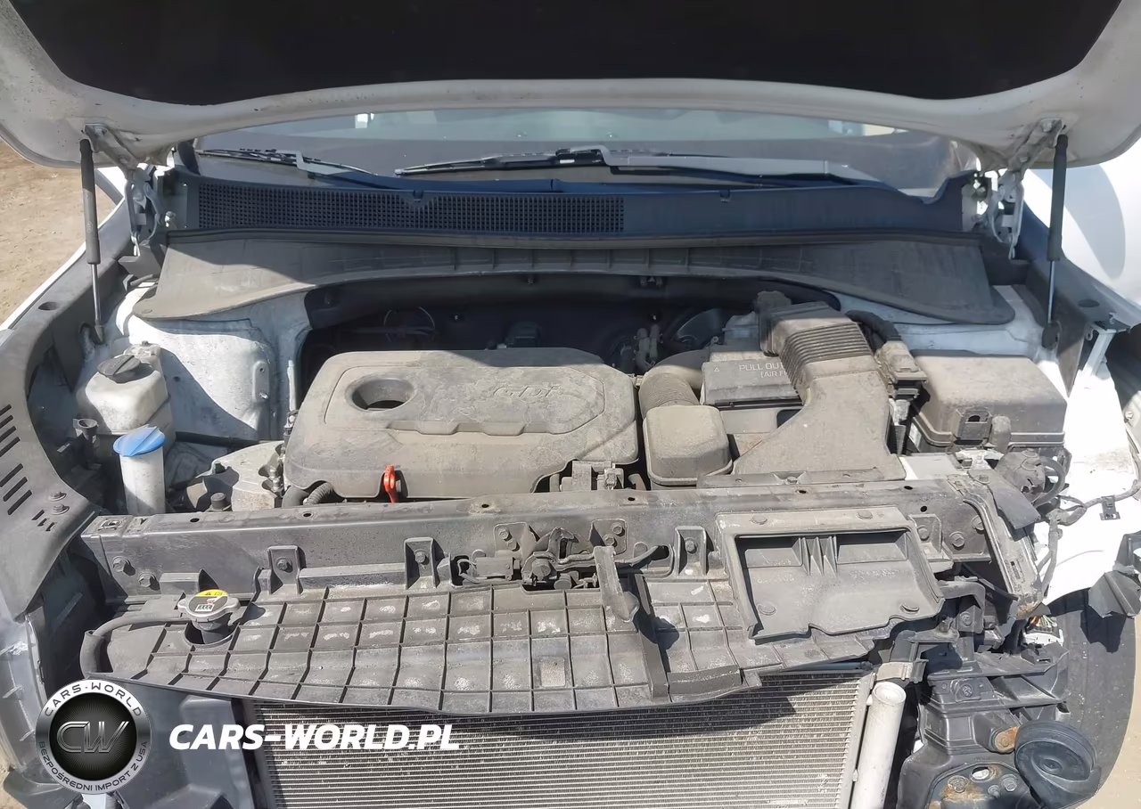 2019 Kia Sorento 2.4L Lx VIN:5XYPGDA3XKG459009 - 10