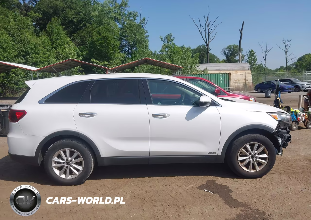 2019 Kia Sorento 2.4L Lx VIN:5XYPGDA3XKG459009 - 13