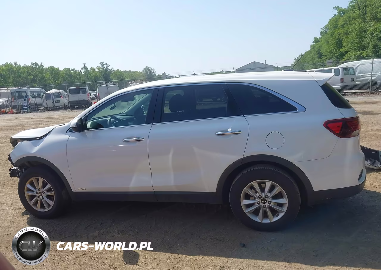 2019 Kia Sorento 2.4L Lx VIN:5XYPGDA3XKG459009 - 14