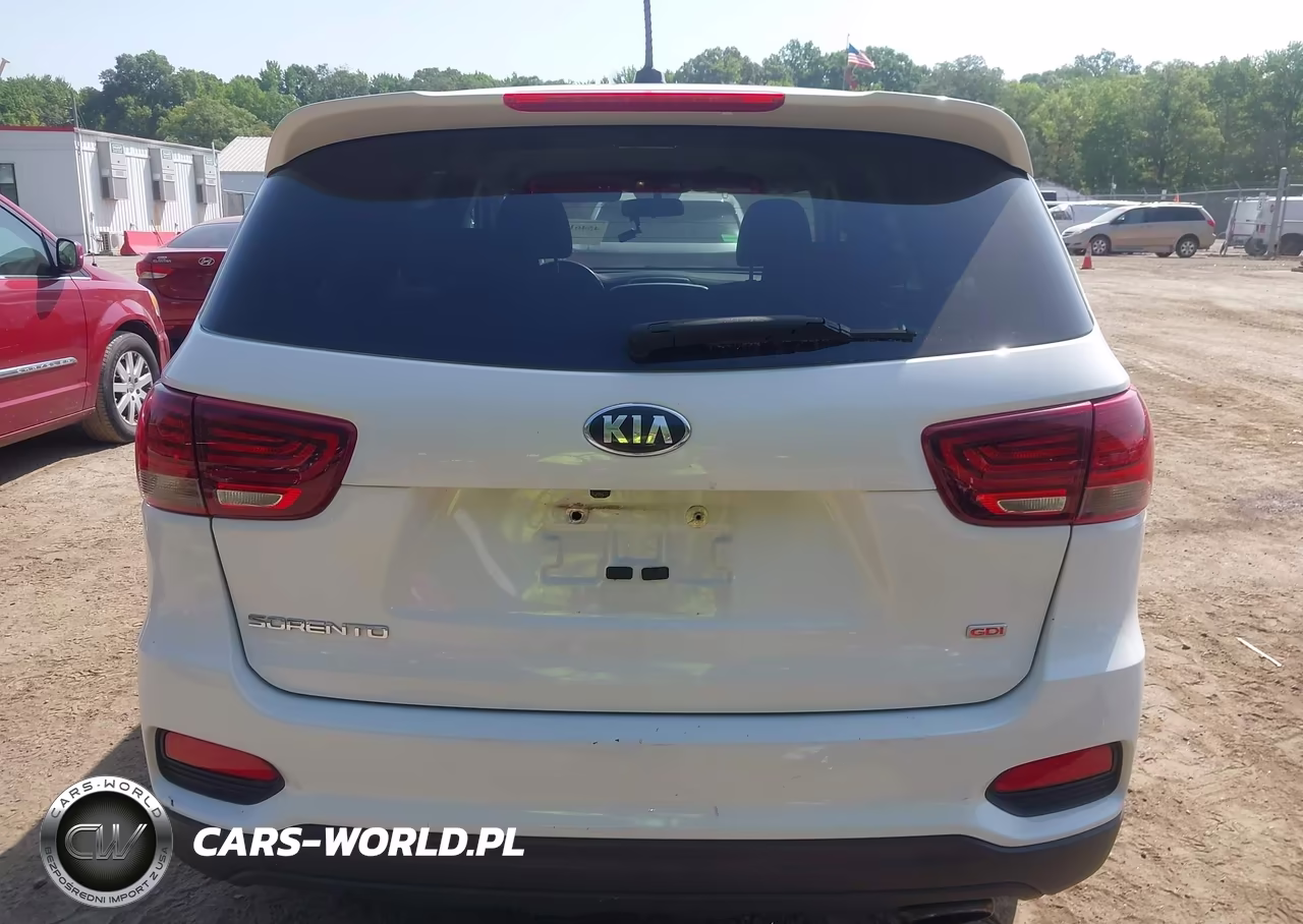 2019 Kia Sorento 2.4L Lx VIN:5XYPGDA3XKG459009 - 16