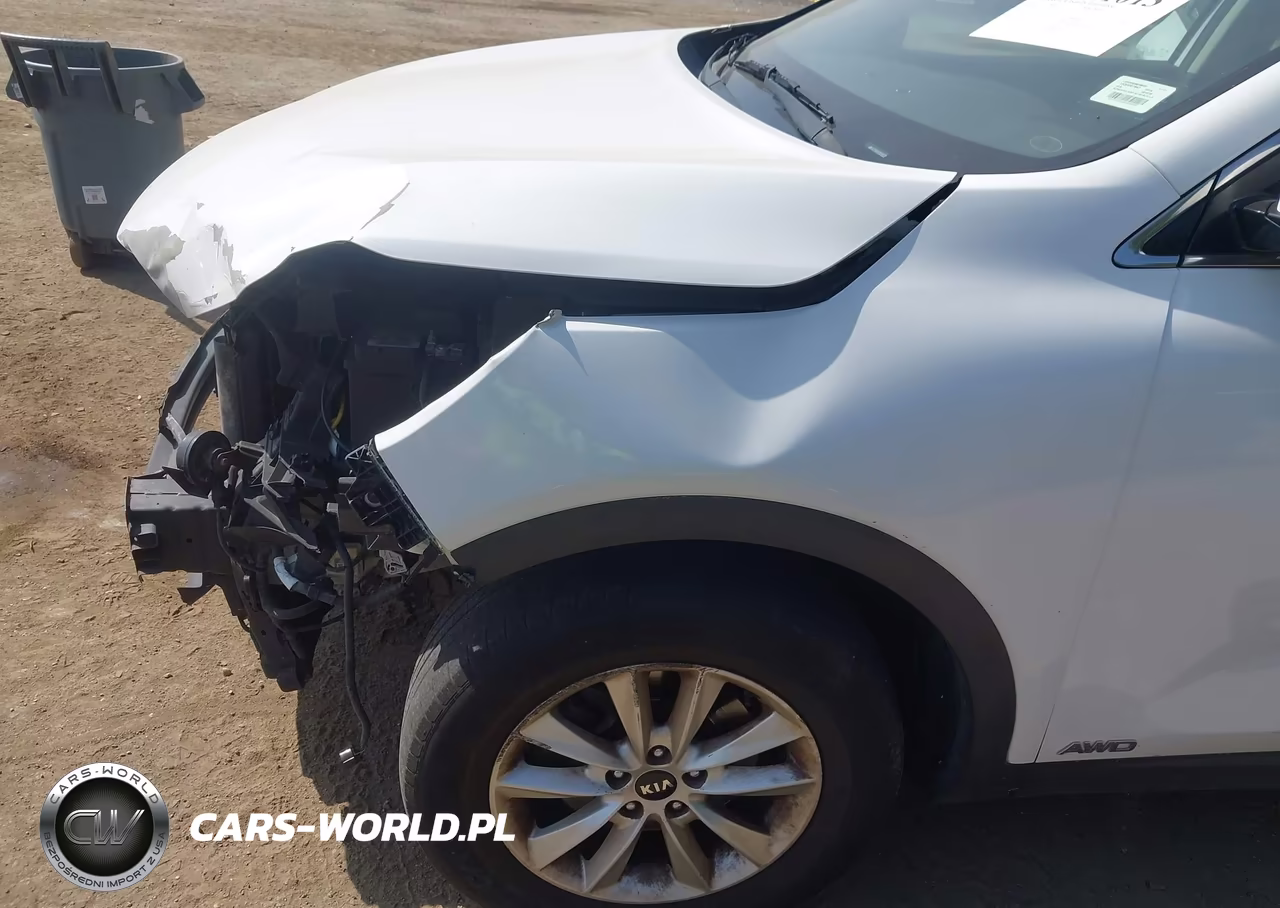 2019 Kia Sorento 2.4L Lx VIN:5XYPGDA3XKG459009 - 17