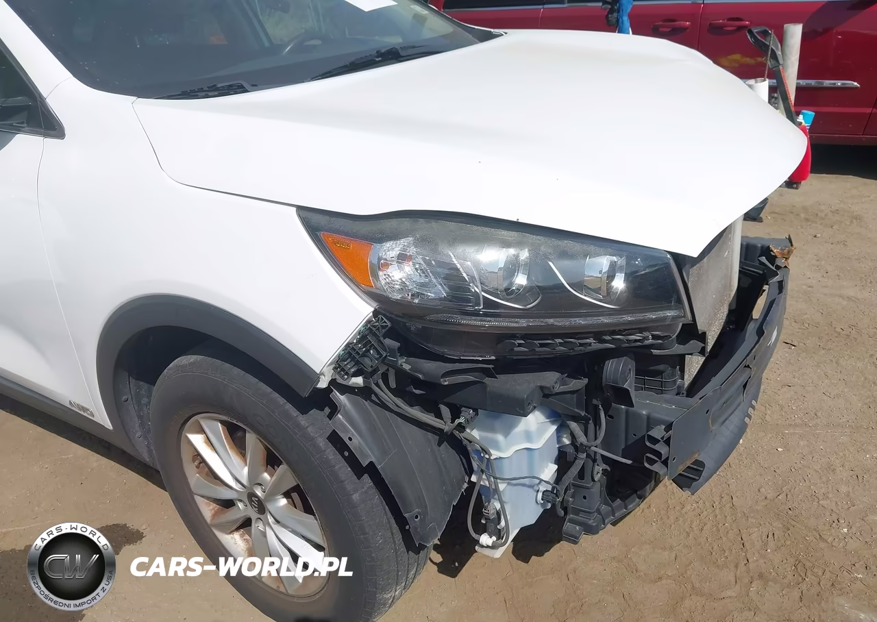 2019 Kia Sorento 2.4L Lx VIN:5XYPGDA3XKG459009 - 19