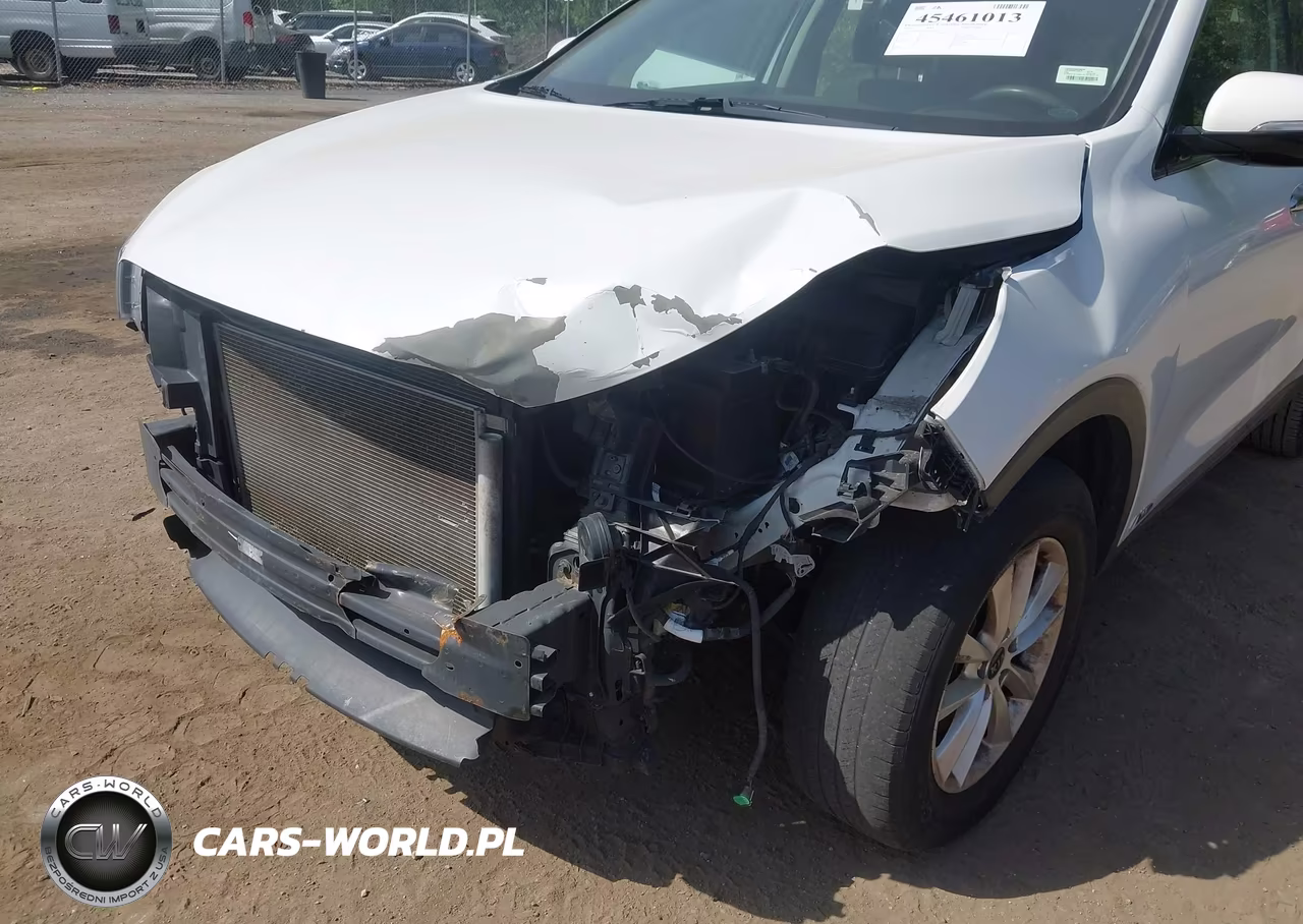 2019 Kia Sorento 2.4L Lx VIN:5XYPGDA3XKG459009 - 6