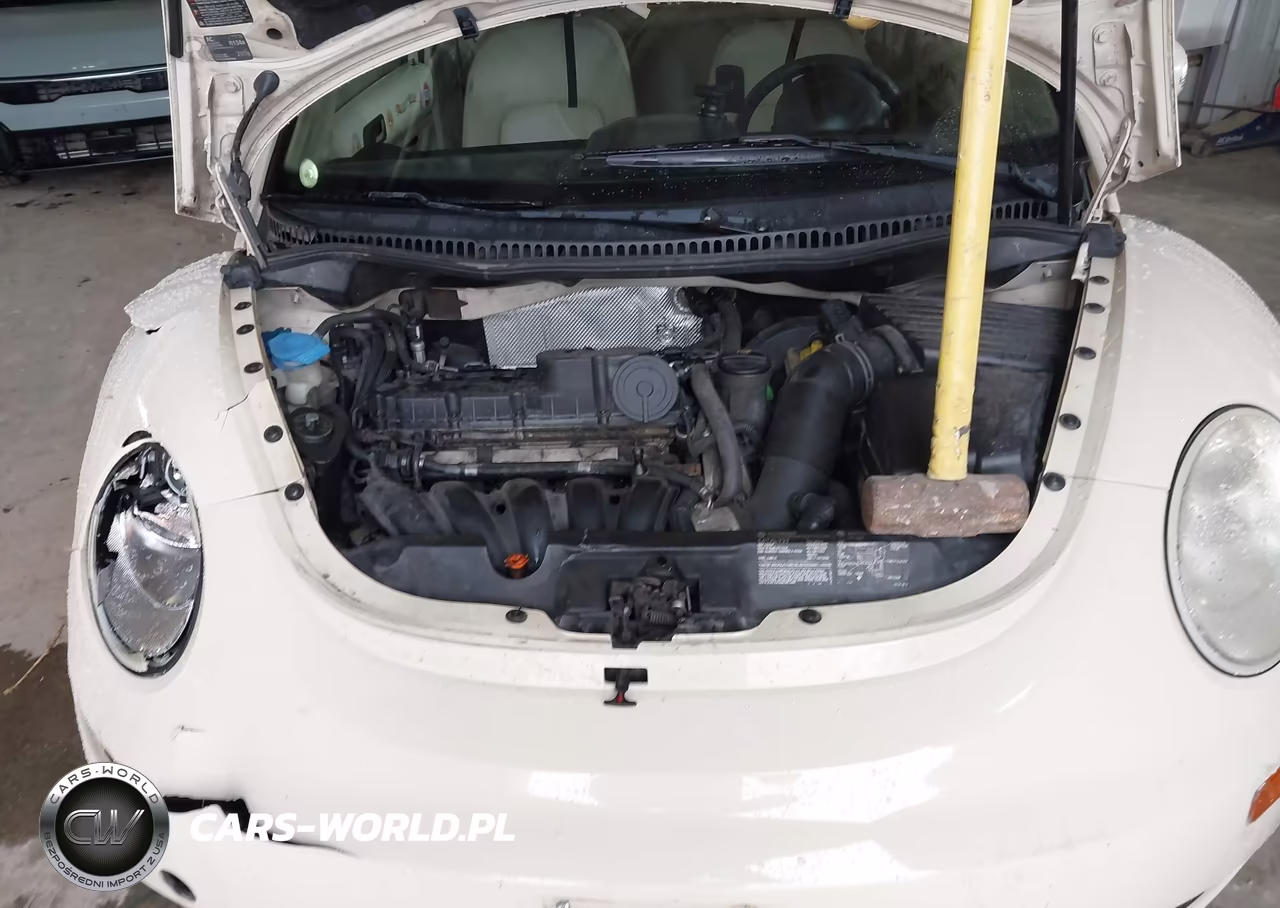 2006 Volkswagen New Beetle 2.5 VIN:3VWRW31C96M416857 - 10