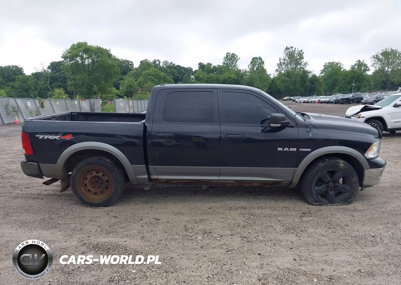 2009 Dodge Ram 1500 Slt-Sport-Trx VIN:1D3HV13TX9S811099 - 13
