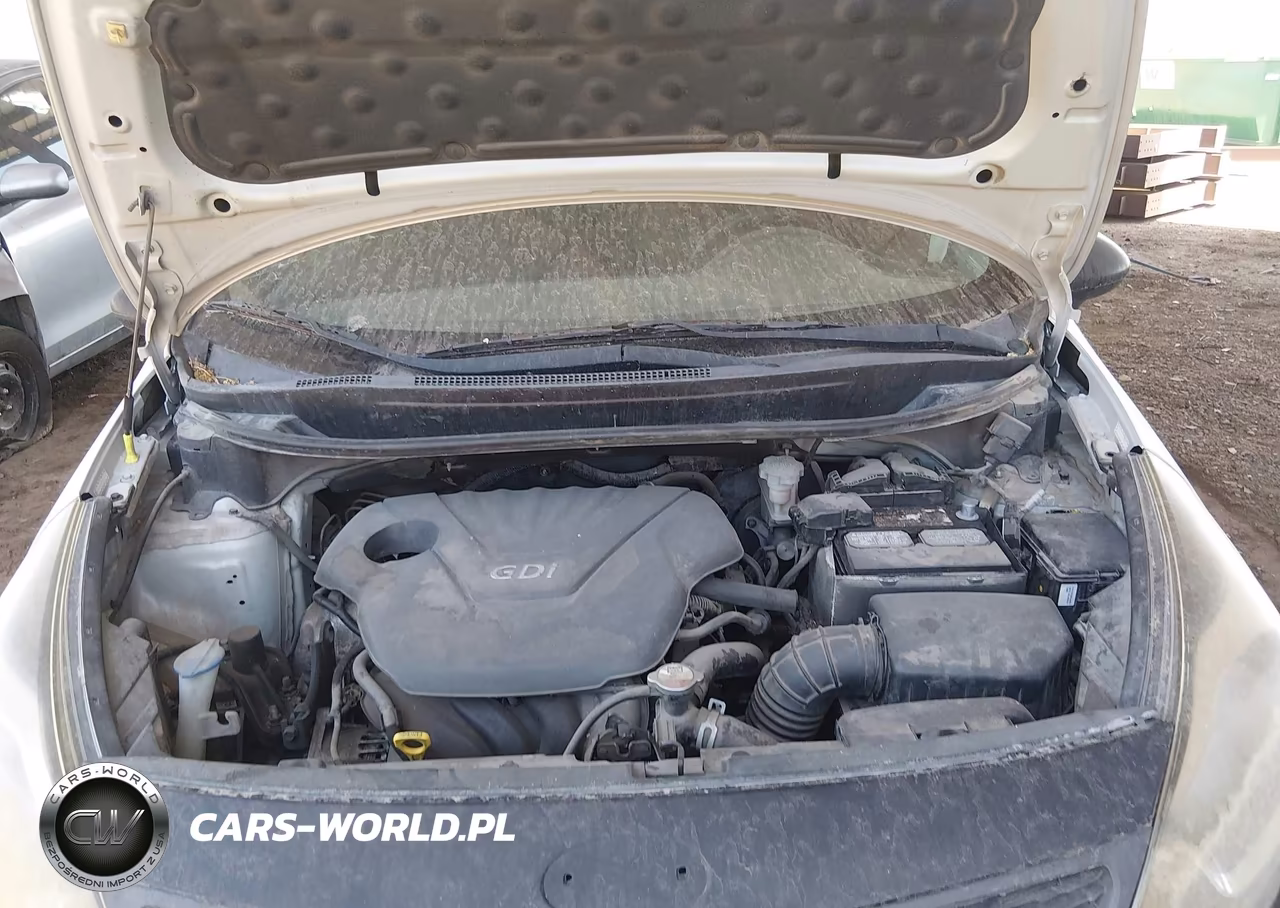2015 Kia Rio Lx VIN:KNADM4A39F6509514 - 10