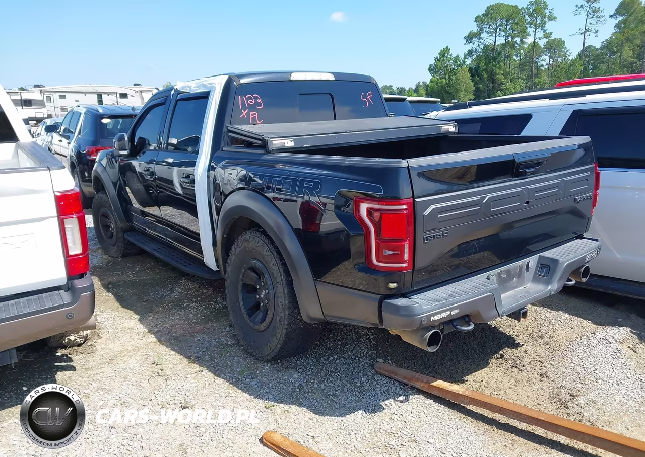 2018 Ford F-150 Raptor VIN:1FTFW1RGXJFC76554 - 3