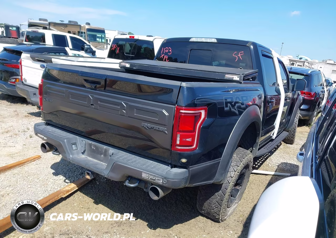 2018 Ford F-150 Raptor VIN:1FTFW1RGXJFC76554 - 4