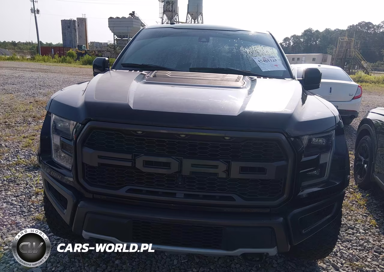 2018 Ford F-150 Raptor VIN:1FTFW1RGXJFC76554 - 6