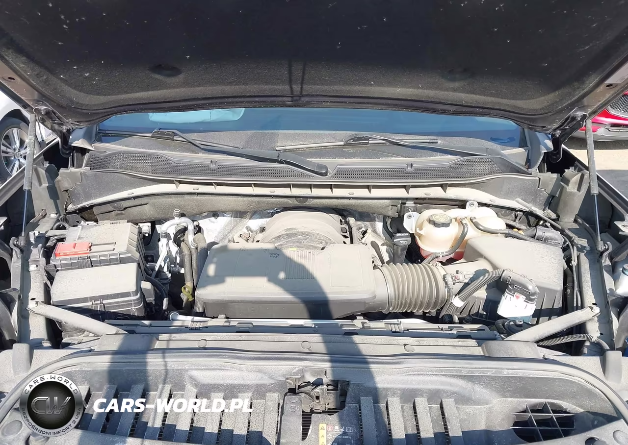 2023 Chevrolet Silverado 1500 4Wd Short Bed Lt Trail Boss VIN:3GCUDFED7PG242620 - 10