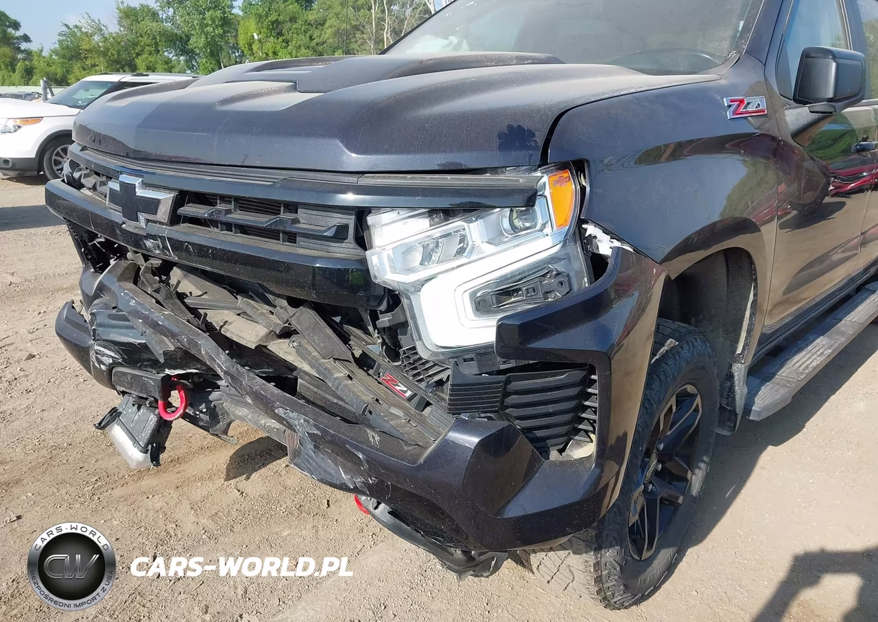 2023 Chevrolet Silverado 1500 4Wd Short Bed Lt Trail Boss VIN:3GCUDFED7PG242620 - 17