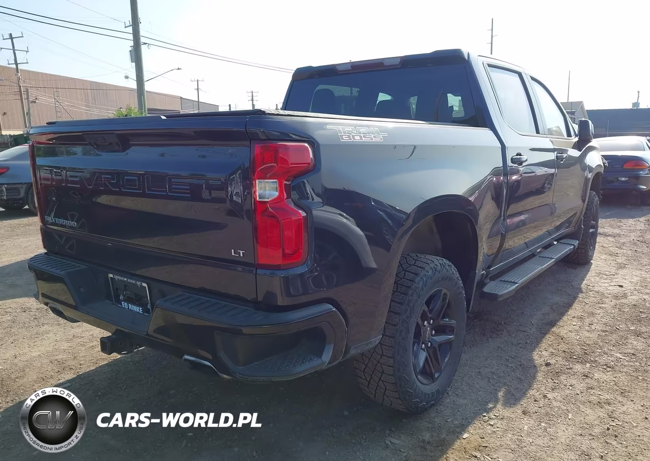 2023 Chevrolet Silverado 1500 4Wd Short Bed Lt Trail Boss VIN:3GCUDFED7PG242620 - 4