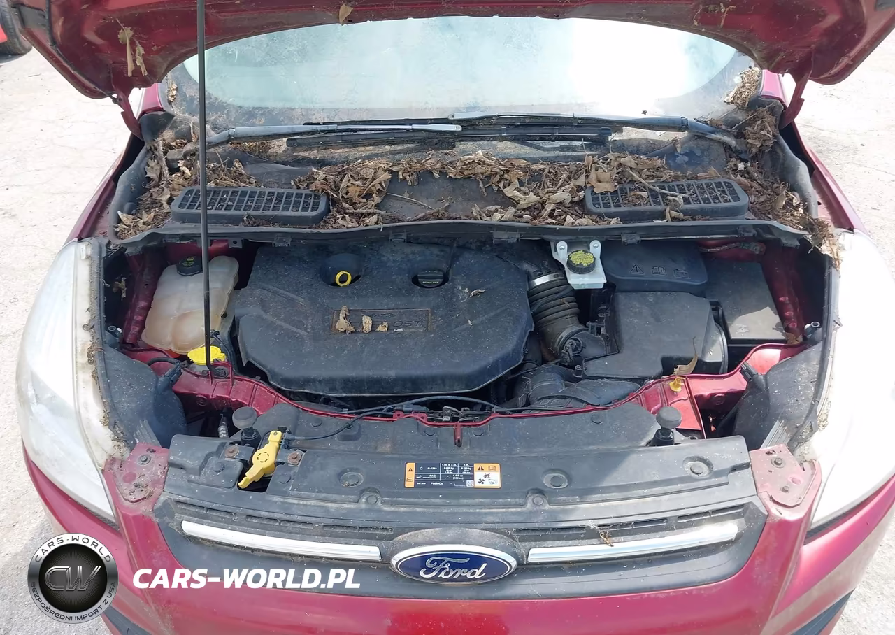2016 Ford Escape Se VIN:1FMCU9G92GUC36982 - 10