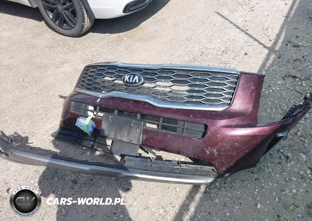 2020 Kia Telluride Ex VIN:5XYP34HC4LG001324 - 12