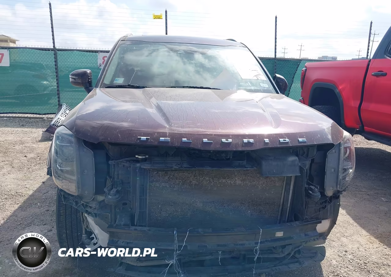 2020 Kia Telluride Ex VIN:5XYP34HC4LG001324 - 13