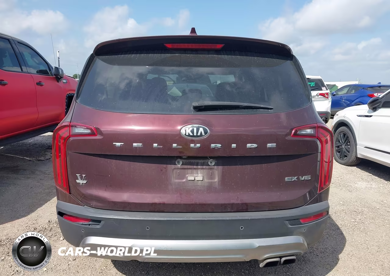 2020 Kia Telluride Ex VIN:5XYP34HC4LG001324 - 17