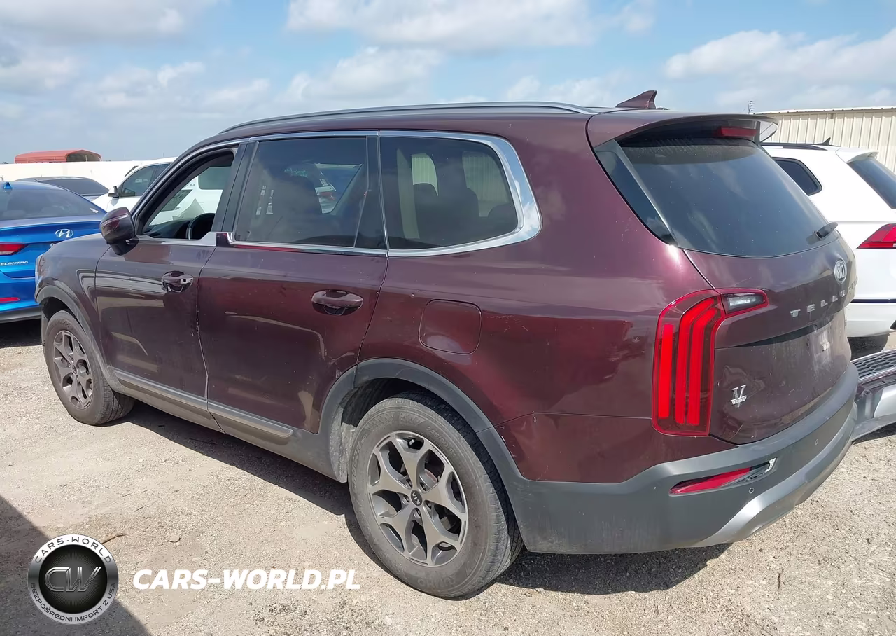 2020 Kia Telluride Ex VIN:5XYP34HC4LG001324 - 3