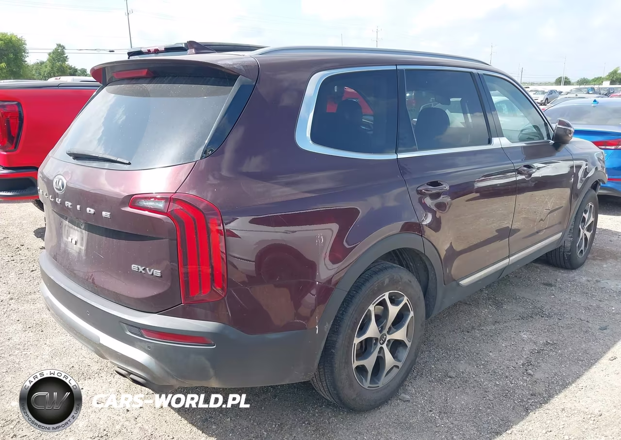 2020 Kia Telluride Ex VIN:5XYP34HC4LG001324 - 4
