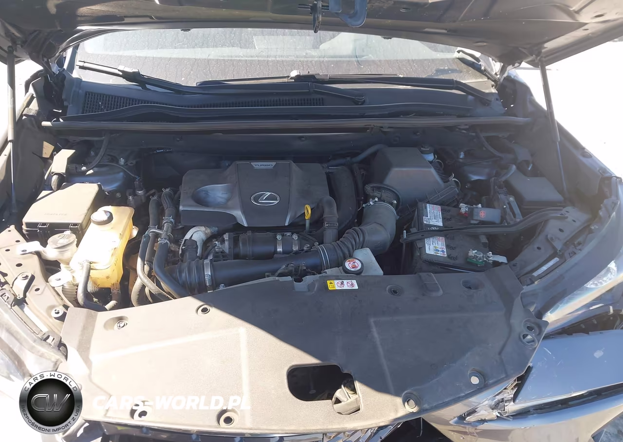 2021 Lexus Nx 300 VIN:JTJGARBZ2M2180049 - 10