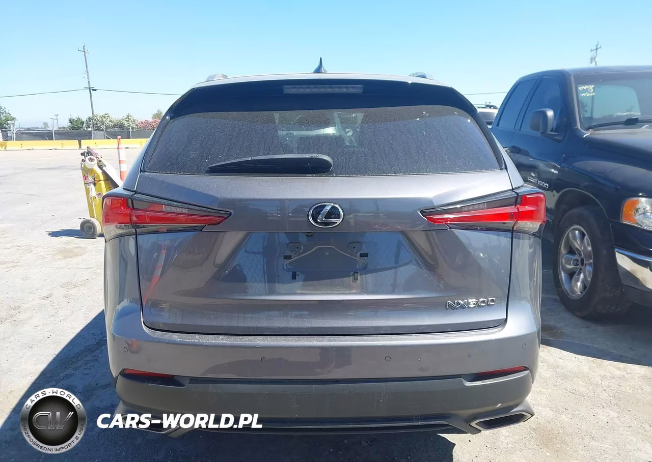 2021 Lexus Nx 300 VIN:JTJGARBZ2M2180049 - 18