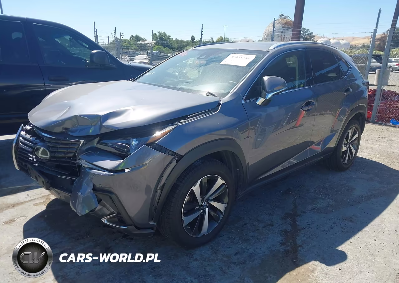 2021 Lexus Nx 300 VIN:JTJGARBZ2M2180049 - 2