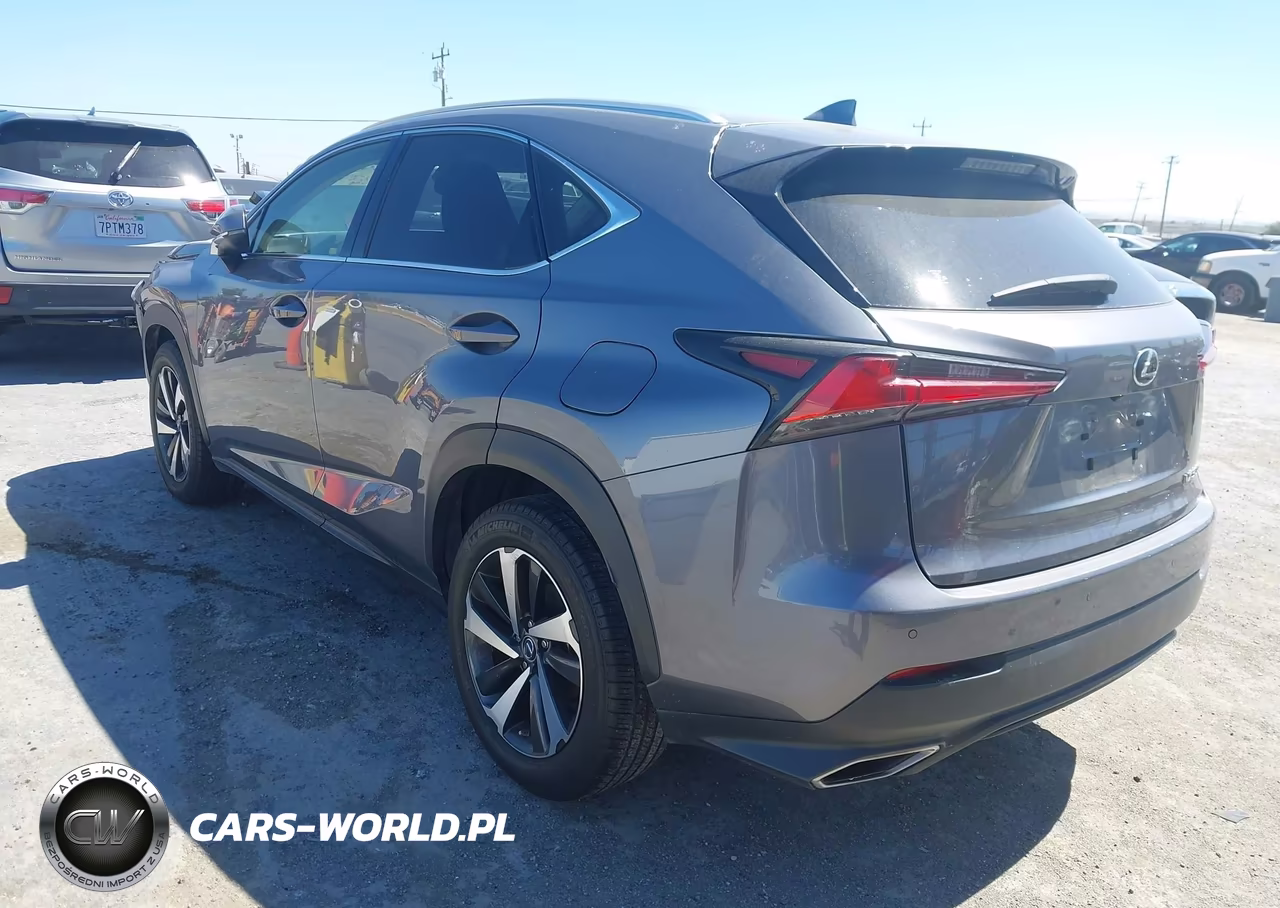 2021 Lexus Nx 300 VIN:JTJGARBZ2M2180049 - 3