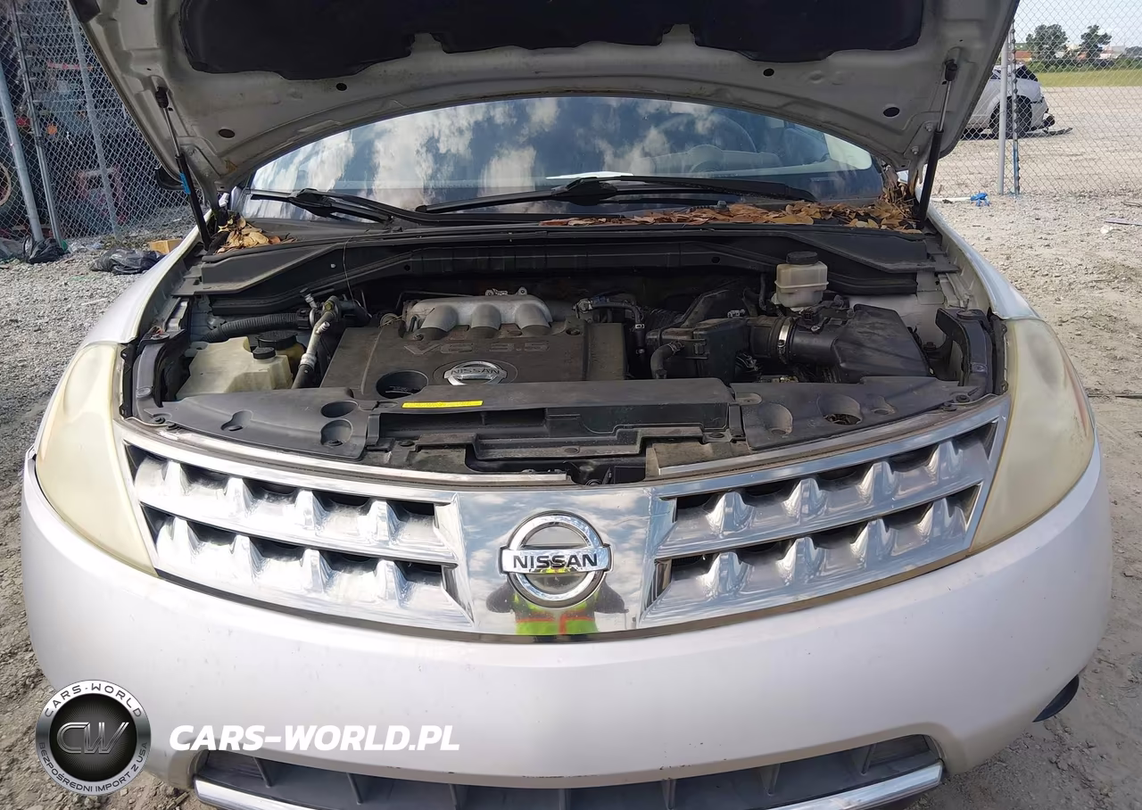 2006 Nissan Murano S VIN:JN8AZ08T76W416761 - 10
