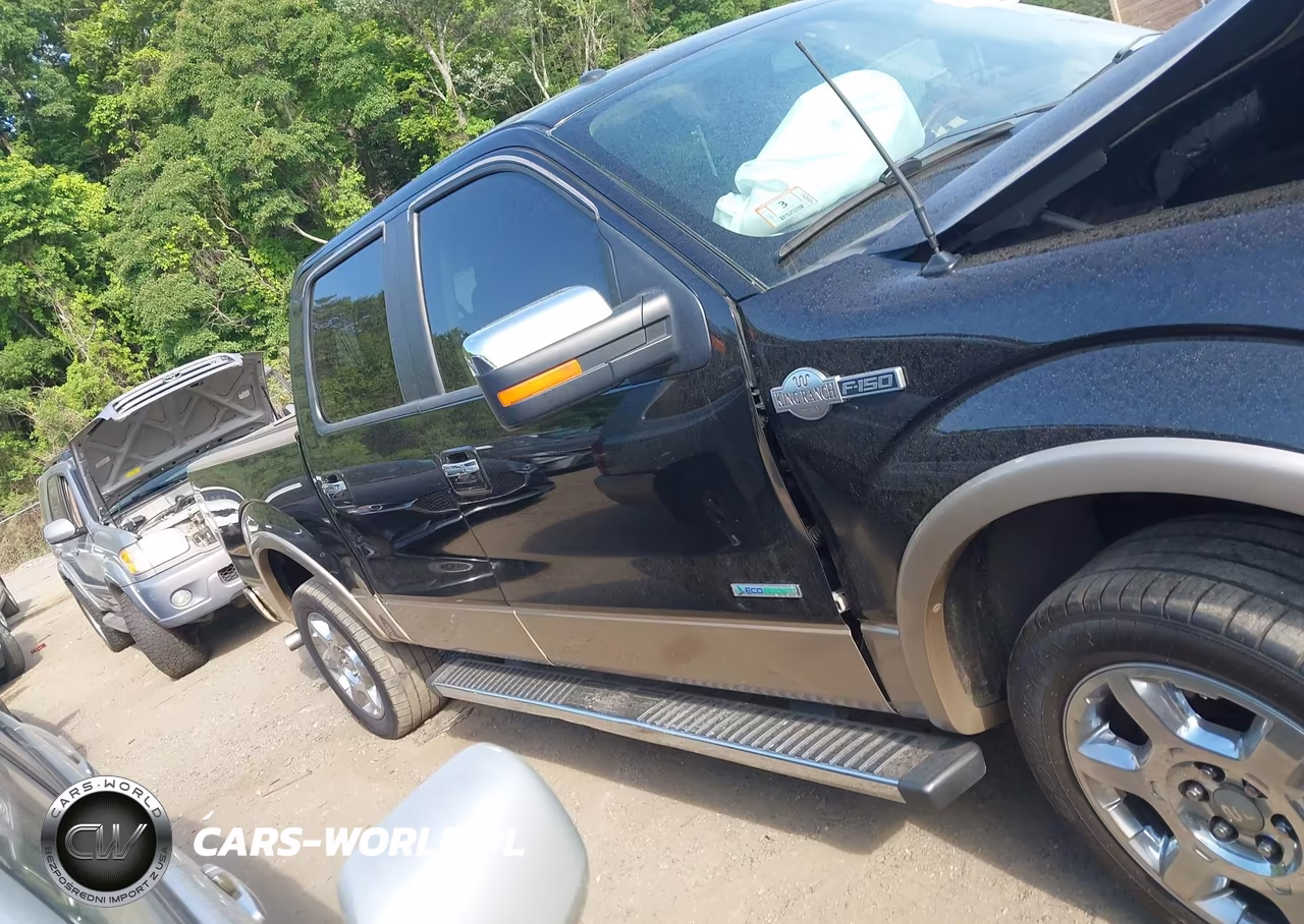 2013 Ford F-150 Fx4-King Ranch-Lariat-Limited-Platinum-Xl-Xlt VIN:1FTFW1ETXDKD99172 - 13