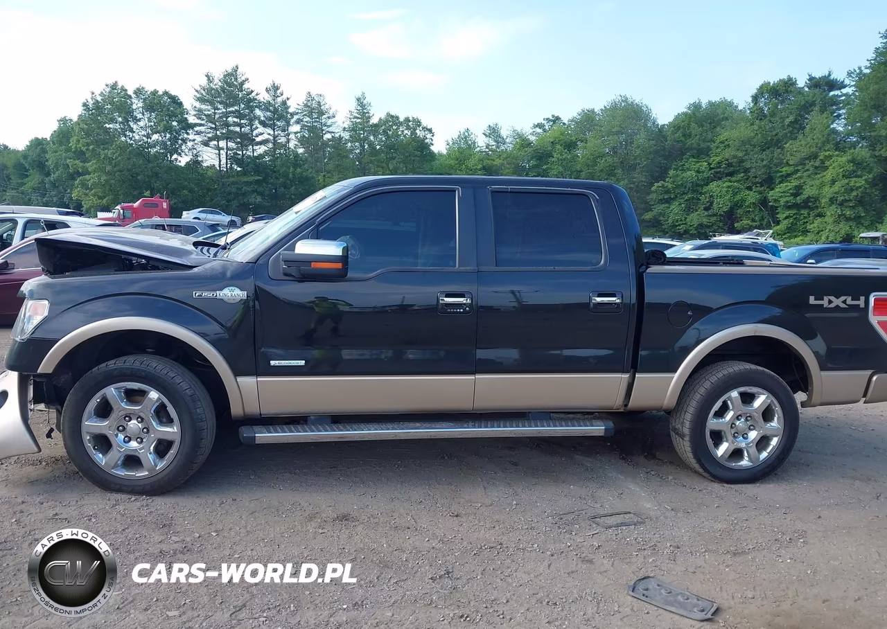 2013 Ford F-150 Fx4-King Ranch-Lariat-Limited-Platinum-Xl-Xlt VIN:1FTFW1ETXDKD99172 - 14