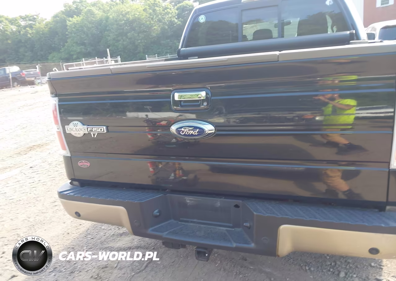 2013 Ford F-150 Fx4-King Ranch-Lariat-Limited-Platinum-Xl-Xlt VIN:1FTFW1ETXDKD99172 - 16