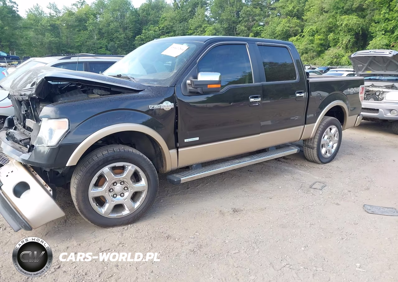 2013 Ford F-150 Fx4-King Ranch-Lariat-Limited-Platinum-Xl-Xlt VIN:1FTFW1ETXDKD99172 - 2