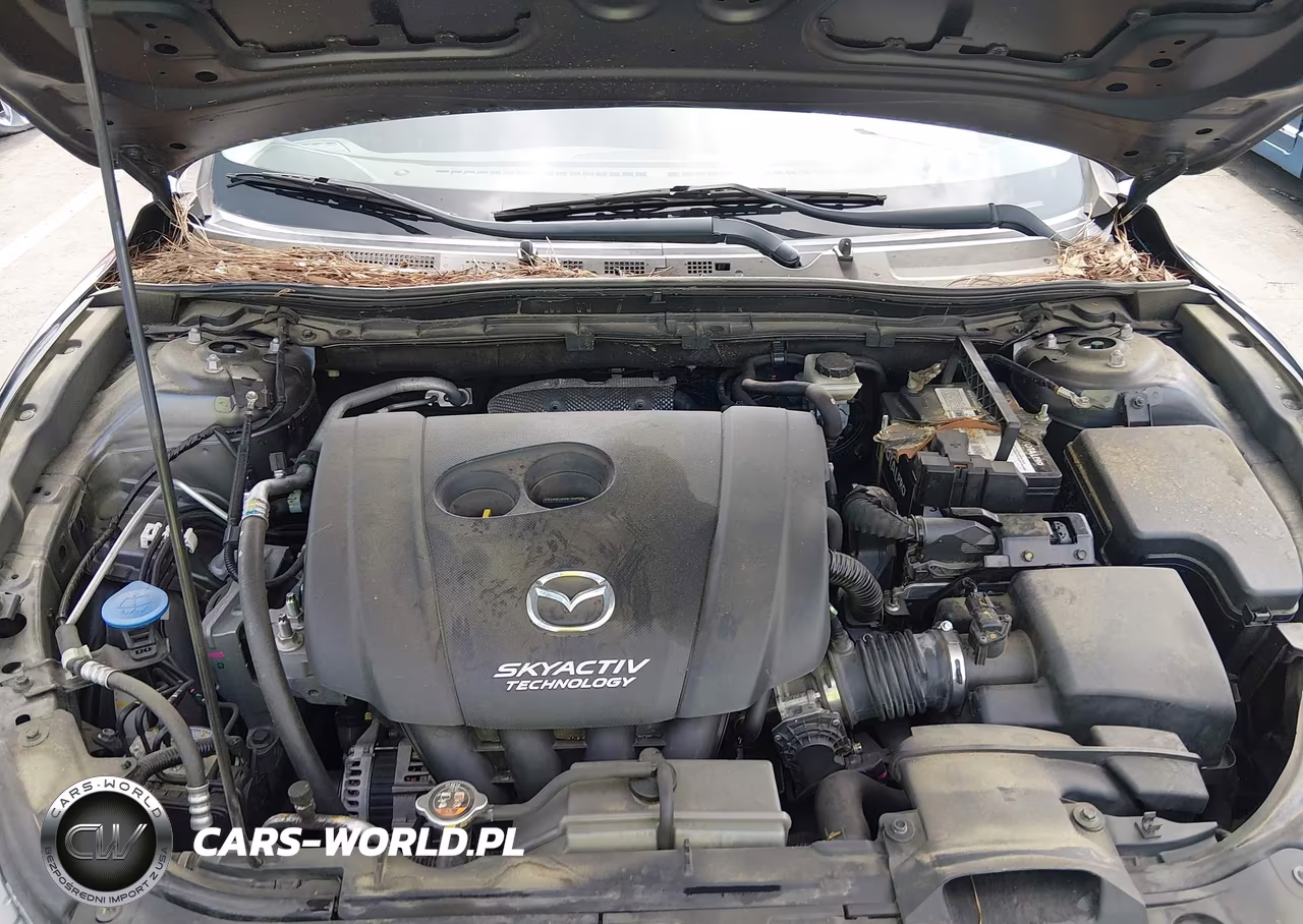 2016 Mazda Mazda3 I Sport VIN:3MZBM1T76GM315739 - 10