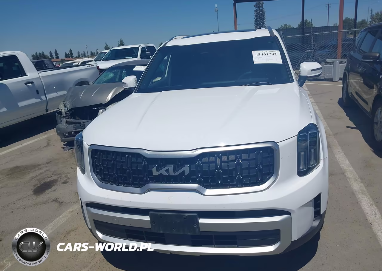 2024 Kia Telluride Ex VIN:5XYP34GC4RG530797 - 12
