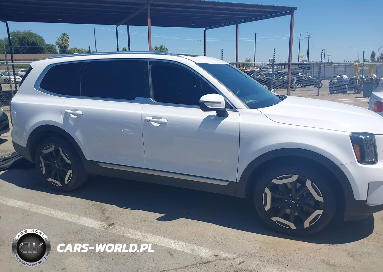 2024 Kia Telluride Ex VIN:5XYP34GC4RG530797 - 13