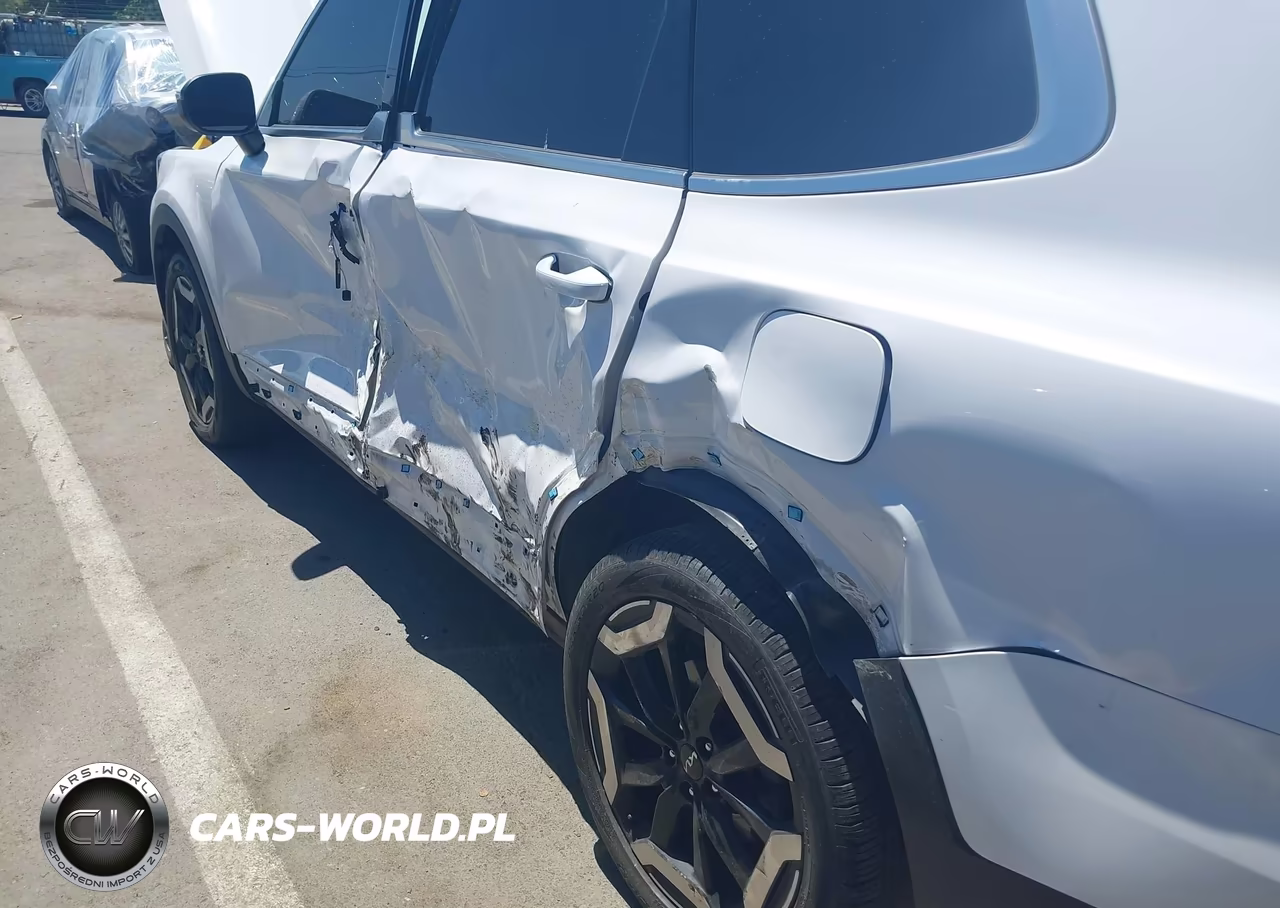 2024 Kia Telluride Ex VIN:5XYP34GC4RG530797 - 20