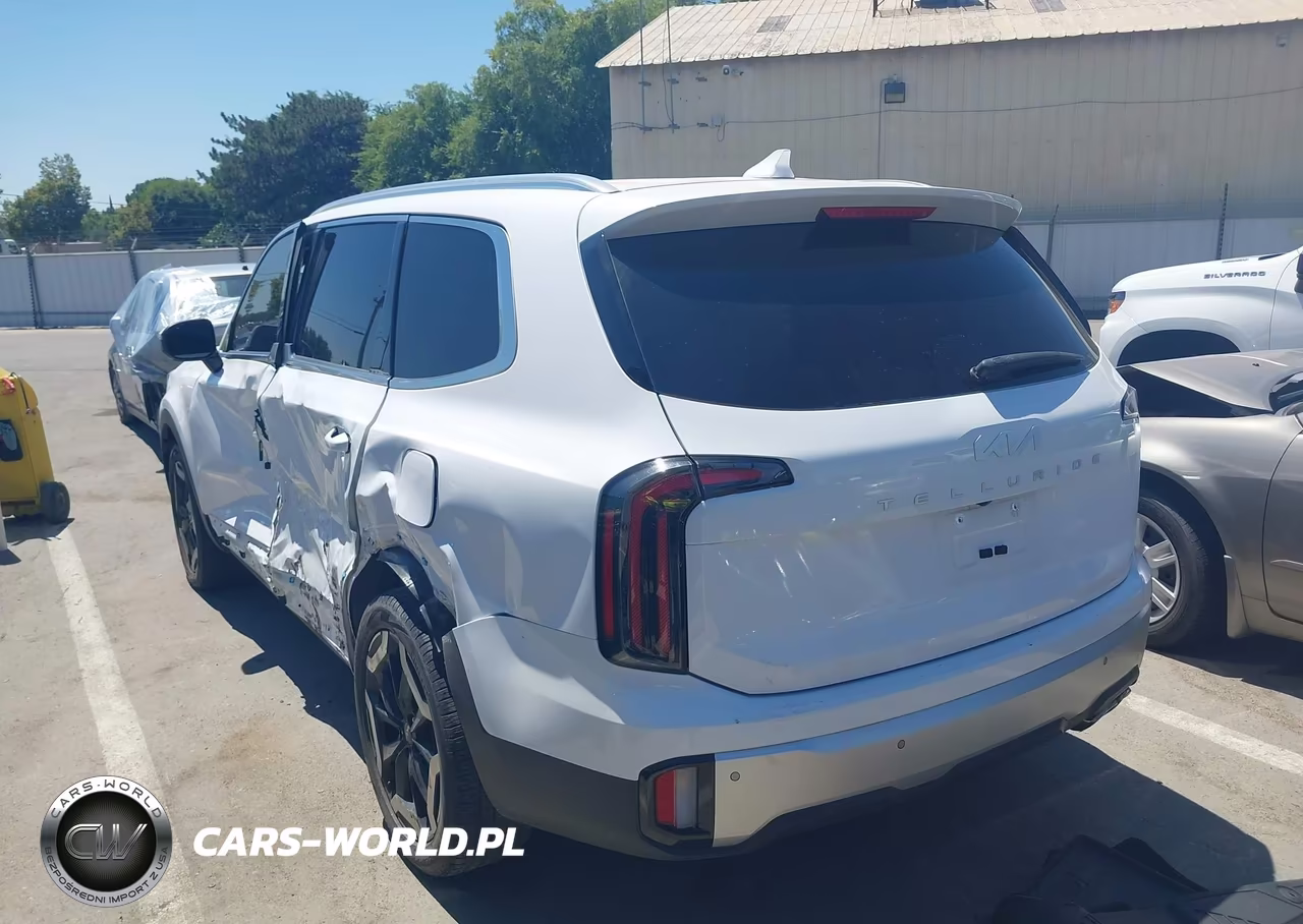 2024 Kia Telluride Ex VIN:5XYP34GC4RG530797 - 3