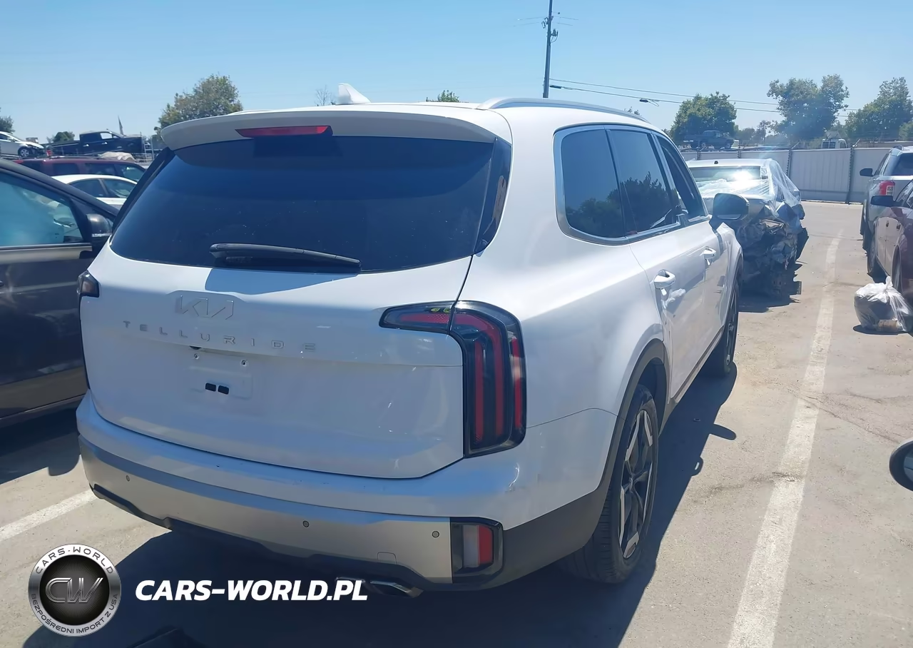 2024 Kia Telluride Ex VIN:5XYP34GC4RG530797 - 4