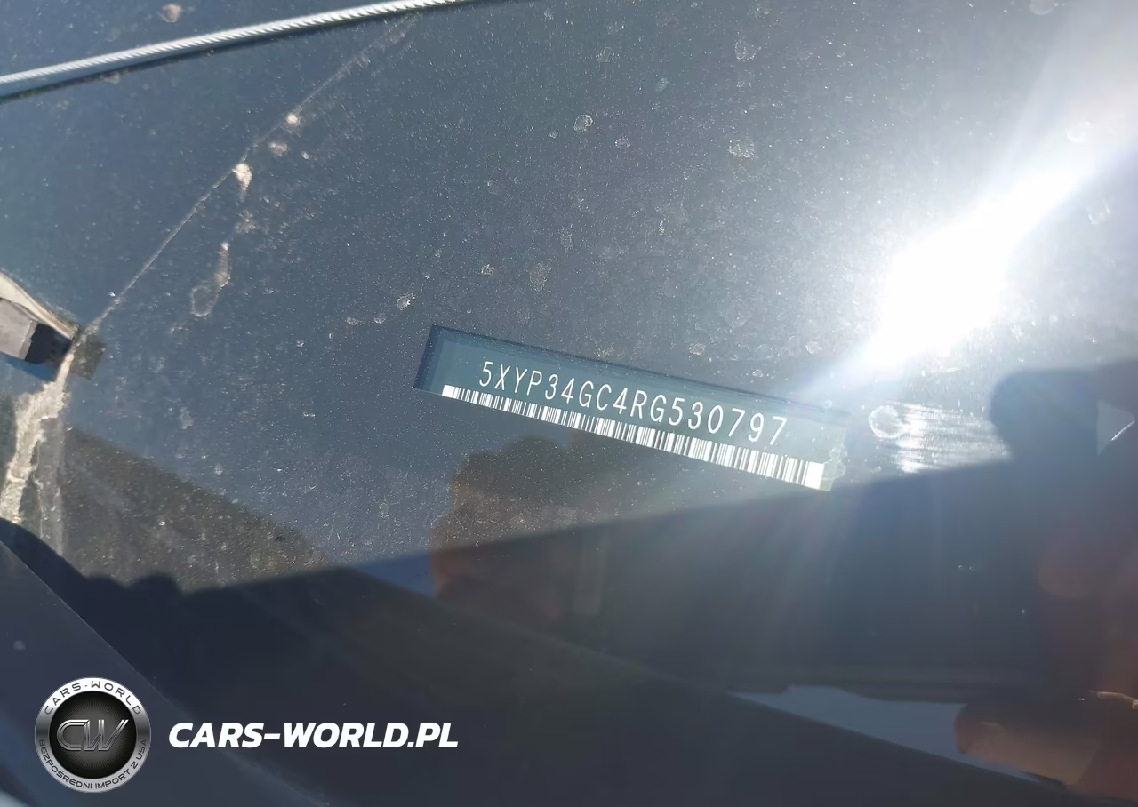2024 Kia Telluride Ex VIN:5XYP34GC4RG530797 - 9