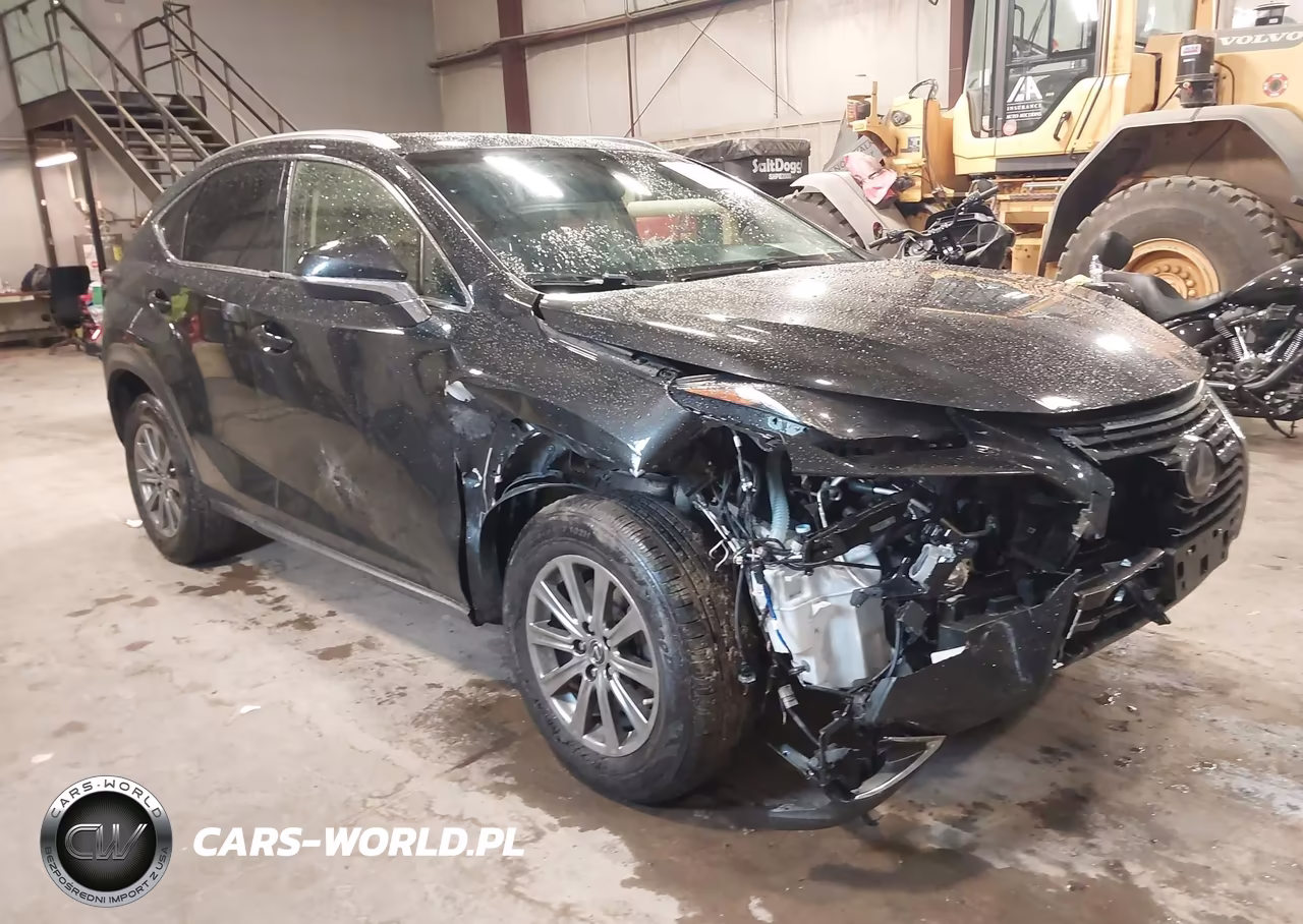 2019 Lexus Nx 300