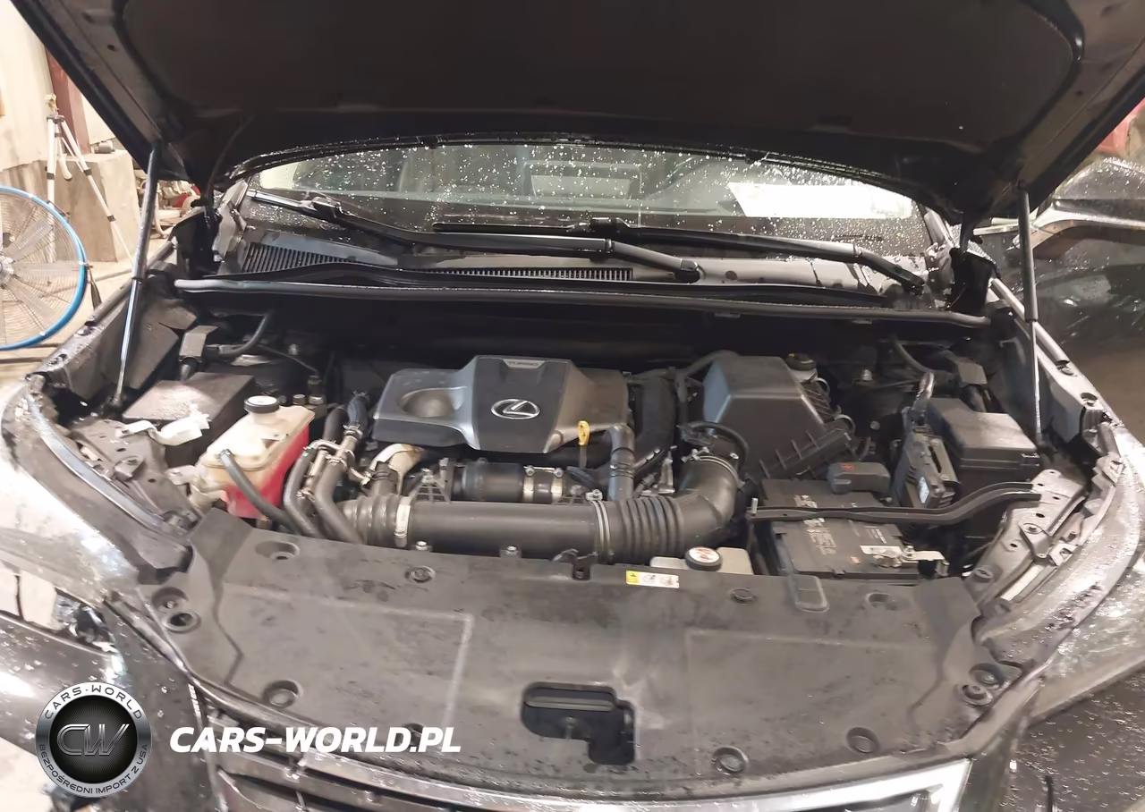 2019 Lexus Nx 300 VIN:JTJBARBZ5K2215433 - 10