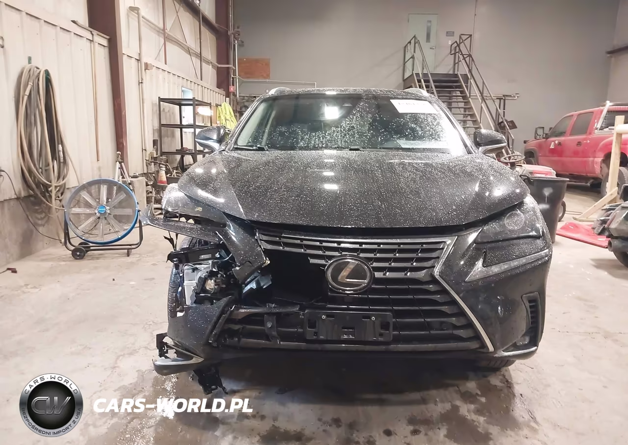 2019 Lexus Nx 300 VIN:JTJBARBZ5K2215433 - 12