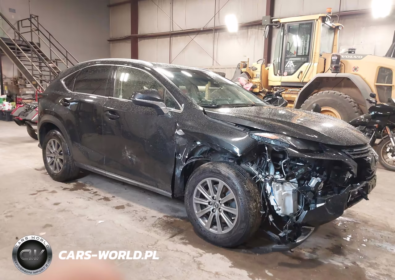 2019 Lexus Nx 300 VIN:JTJBARBZ5K2215433 - 13