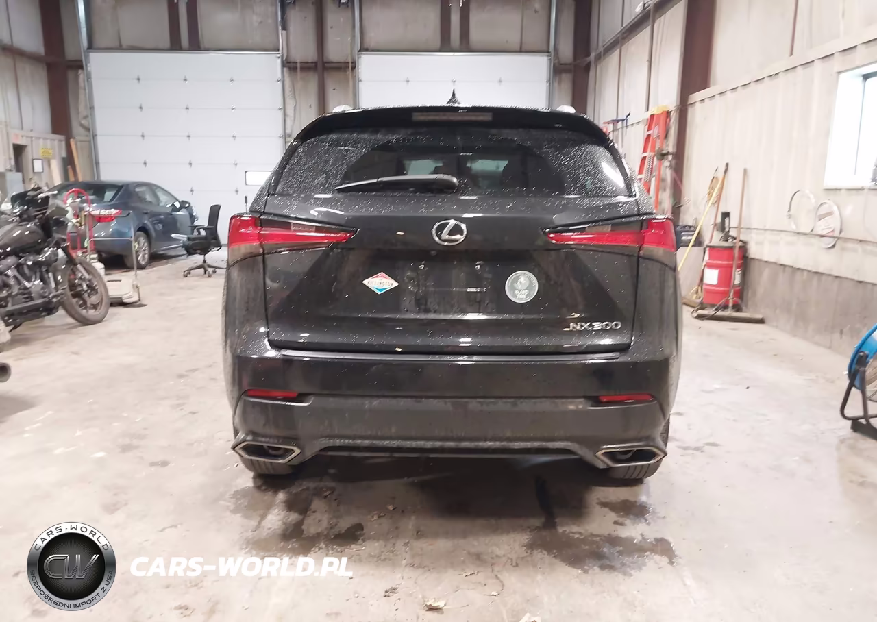 2019 Lexus Nx 300 VIN:JTJBARBZ5K2215433 - 16