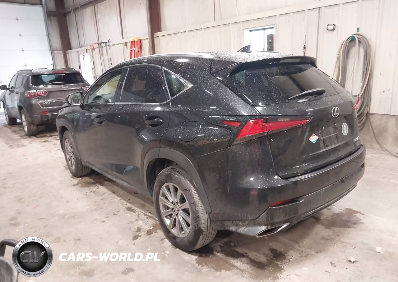 2019 Lexus Nx 300 VIN:JTJBARBZ5K2215433 - 3